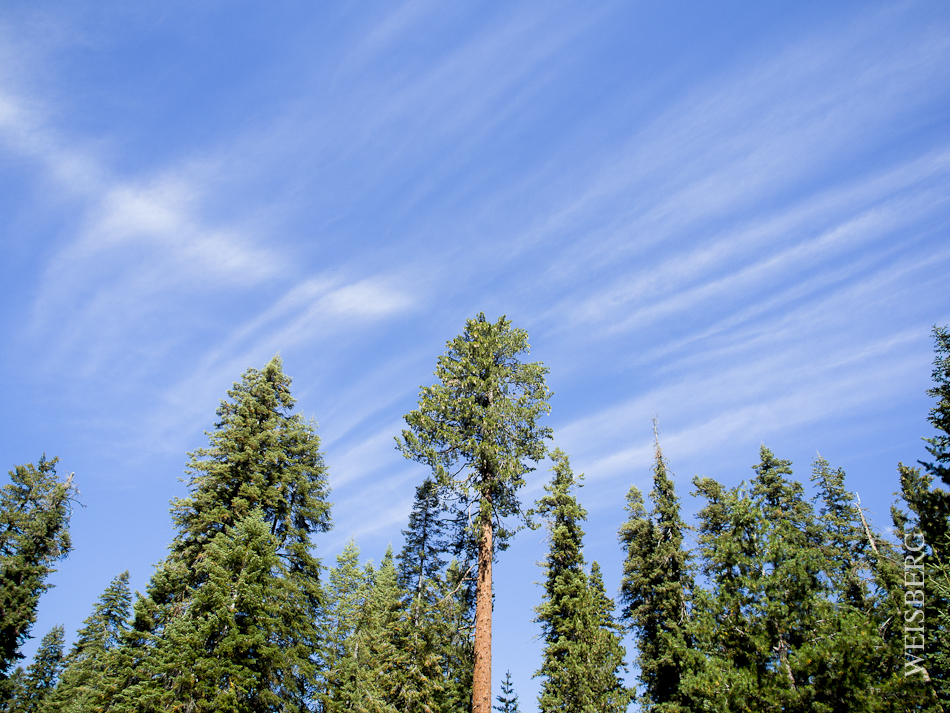 Sky and wispy clouds at Dorst campgrounds, Sequoia National Forest.