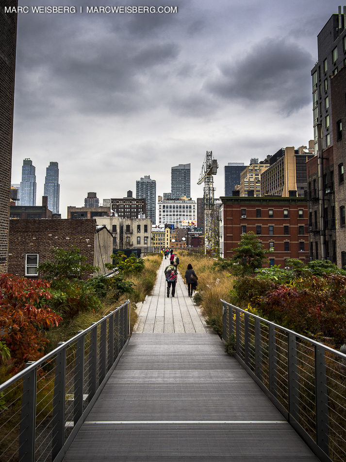 nyc high line pictures