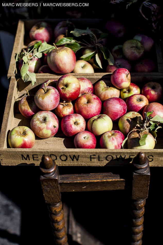 apples open air market food photographer