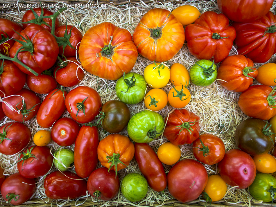 colorful tomates, paris outdoor market, food photographer