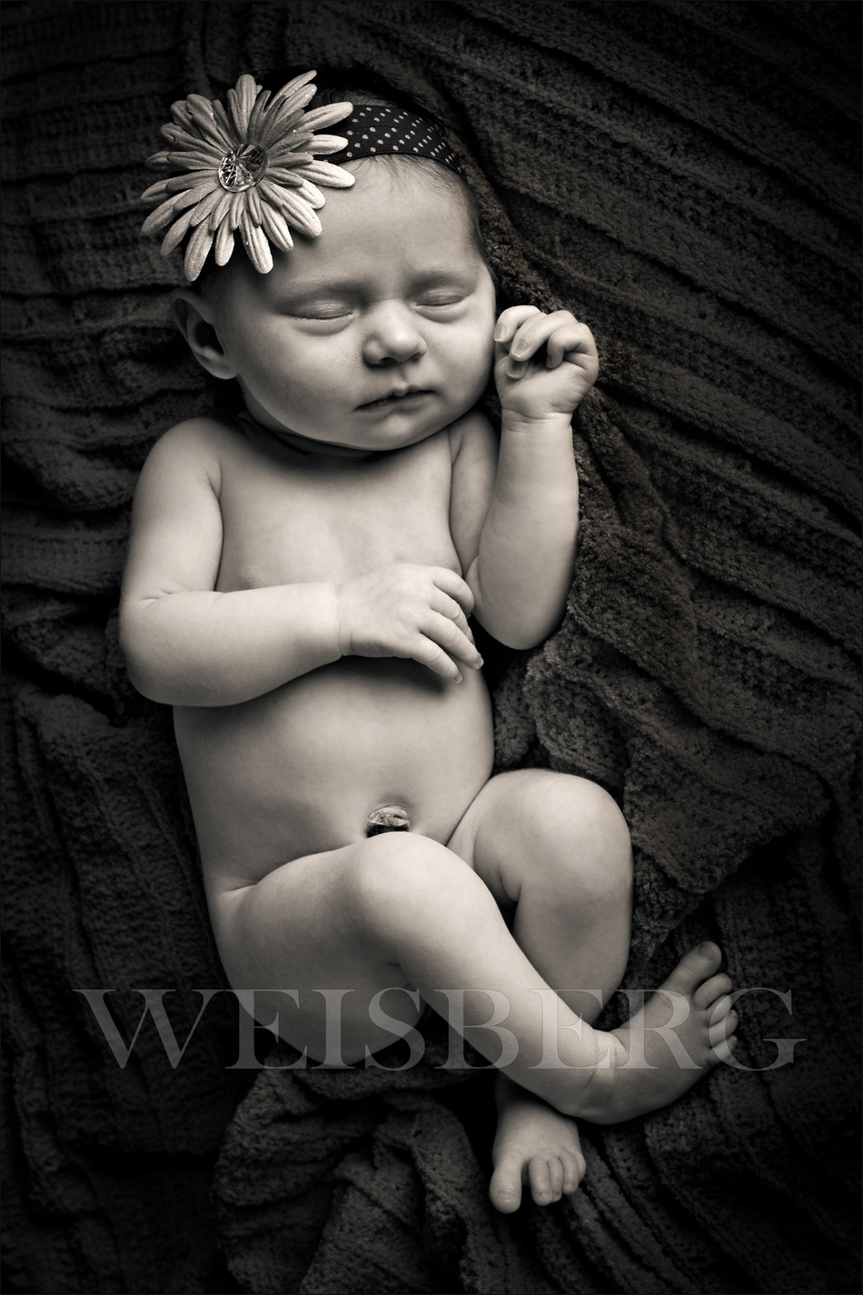 orange county newborn baby photographer