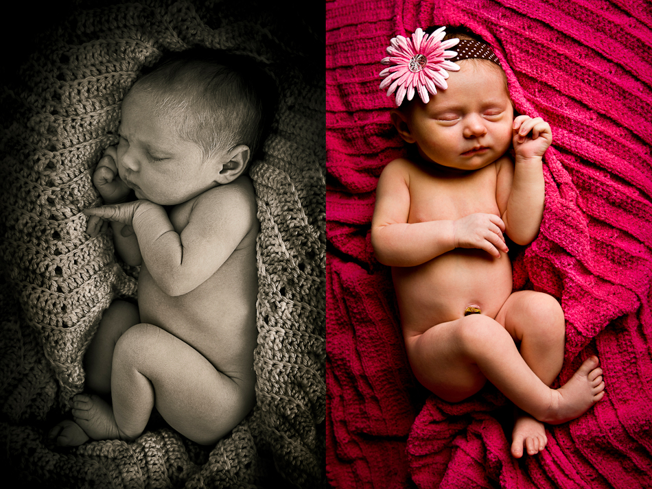 orange county newborn baby photographer/photography pictures
