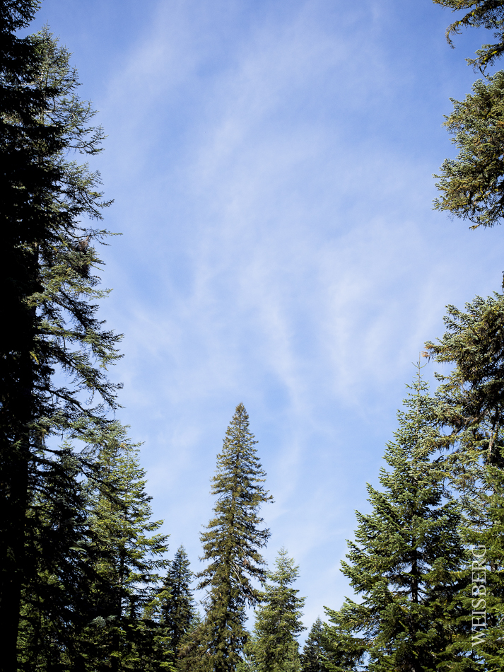 Sky and swirling clouds at Dorst campgrounds, Sequoia National Forest.
