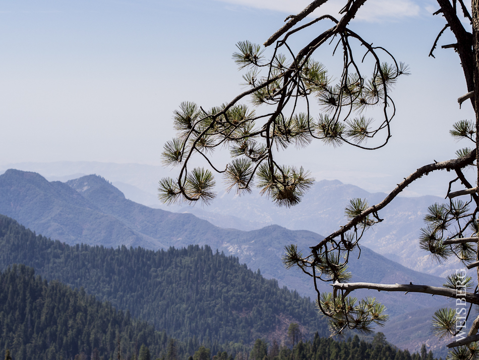 Overlook of Kings Canyon.