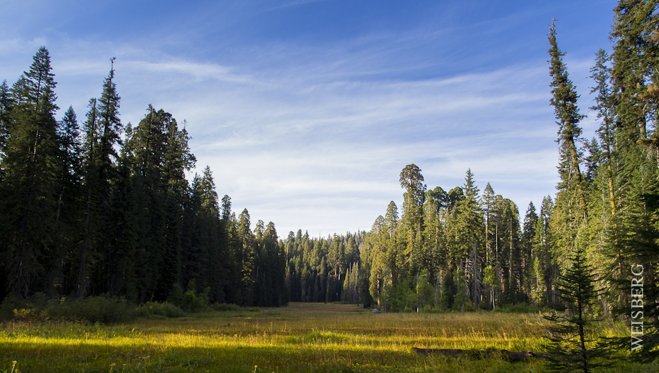 Crescent Meadow, Sequoia Notional Forest, just before sunset.