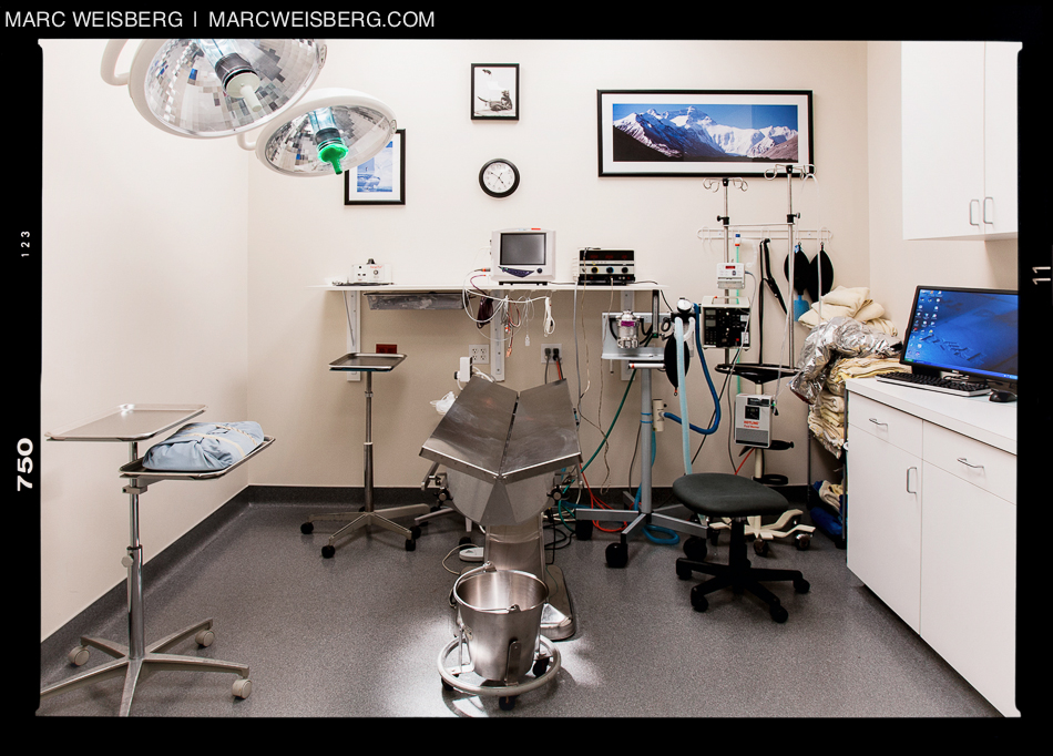 medical sugical health care photograher