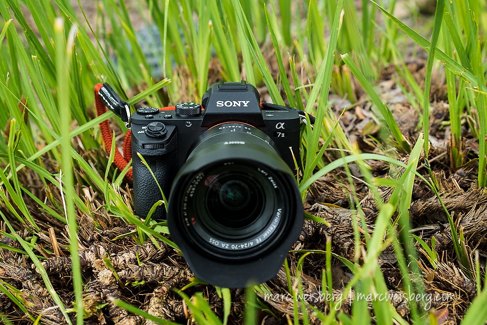 Sony Imaging PRO Support