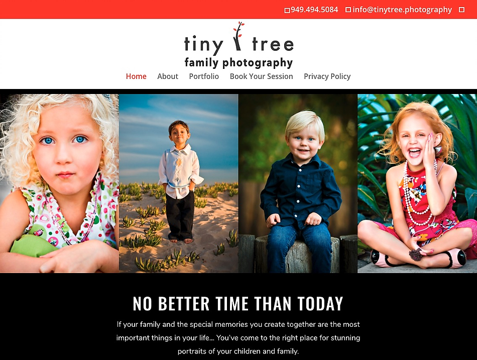 INTRODUCING TINY TREE CHILDREN & FAMILY PHOTOGRAPHY!