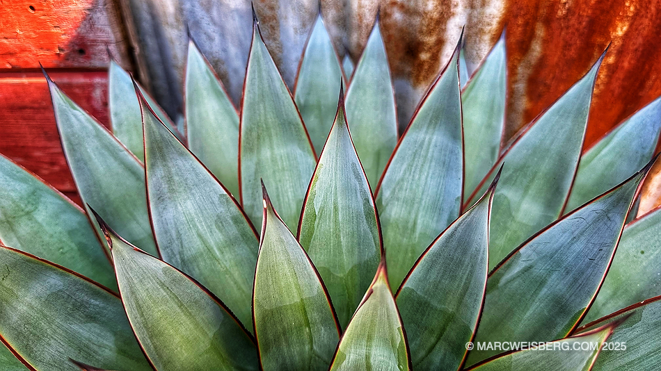 Cairjin Wine Cellars