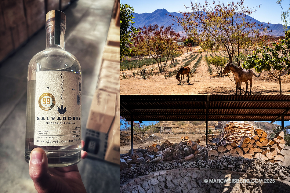 Mezcal from Salvadores Palanque